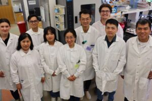 Desarrollan una nueva técnica de vacunación de bajo coste contra la influenza porcina