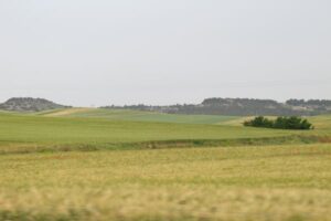 UPA alerta de una caída del 40 % en la cosecha de cereal en Castilla y León por el calor