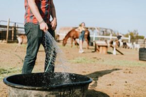 La ola de calor merma hasta un 25% la producción láctea y golpea a toda la ganadería extensiva e intensiva