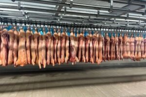 ¿Cuánto aporta realmente la industria cárnica a las arcas públicas?