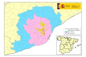Seis nuevos positivos de PPA sitúan en 342 los jabalíes infectados en Barcelona
