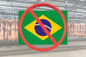 Ya es oficial, Brasil no podrá exportar carne a la UE a partir del próximo 3 de septiembre