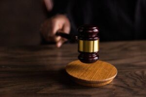 Un Tribunal alemán dictamina que videos robados por animalistas no pueden ser difundidos
