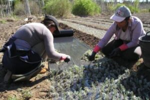 El Ministerio de Agricultura destina 500.000 euros a las asociaciones de mujeres rurales
