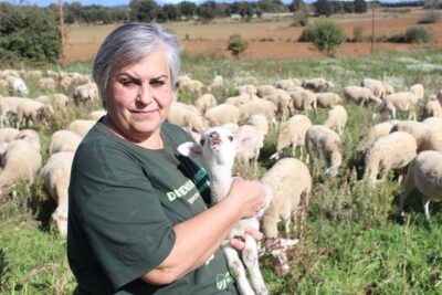 Contra los incendios, alimentaos del territorio