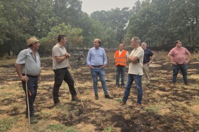 El incendio de Ávila pone en jaque a la mayor colonia de buitre negro de Castilla y León
