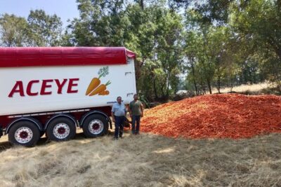 ASAJA Ávila coordina el envío de zanahorias solidarias para el ganado afectado por los incendios