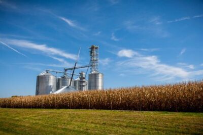 El calor europeo recorta la cosecha mundial de cereales y tensa las existencias