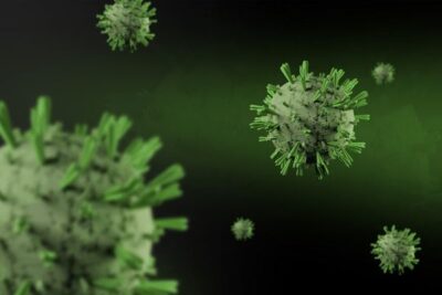 Métodos mejorados para detectar influenza aviar H5N1 en leche y explotaciones ganaderas