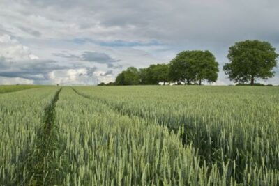 El FEGA publica el primer listado de beneficiarios de las ayudas a los fertilizantes