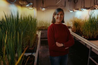 El cambio climático amenaza el valor nutricional de nuestros alimentos.