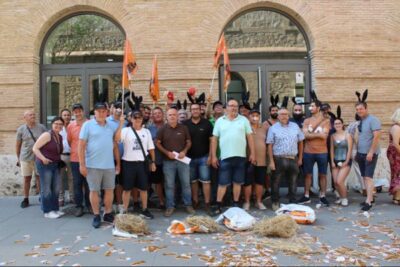 El campo valenciano se moviliza contra la sobrepoblación de fauna silvestre
