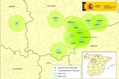 La Newcastle salta a Zamora: Castilla y León ya suma 17 focos