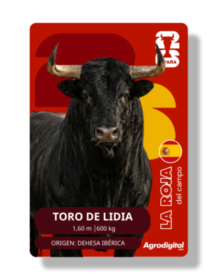 Toro de Lidia | 1,40 m · 600 kg | Dehesa Ibérica
