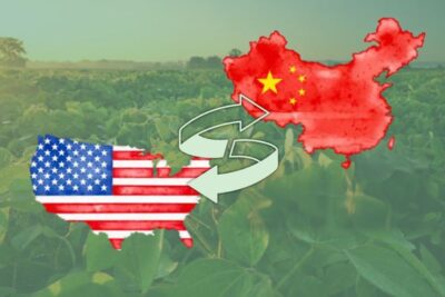 China reducirá los aranceles sobre productos agrícolas de EEUU pero la soja se queda fuera