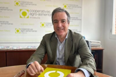 Aceite de oliva: La oportunidad para liderar no sólo la producción, sino la comercialización