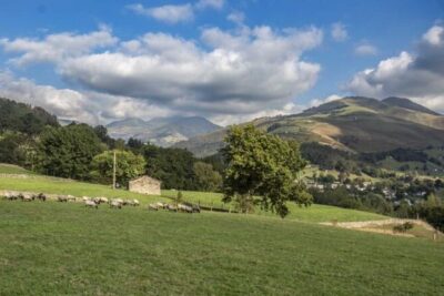 Siete cocineros del medio rural llevan el cordero, el lechal y el cabrito a sus cartas durante octubre