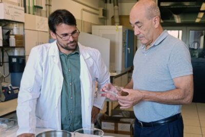 El CSIC desarrolla arcillas con aceites esenciales para combatir el fuego bacteriano sin antibióticos