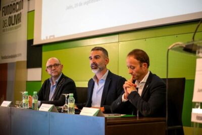 Andalucía prevé una campaña de aceite de oliva un 24% mayor que la anterior