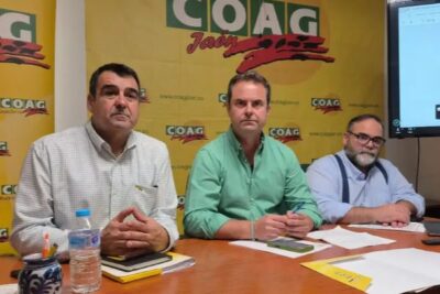 El sector pide activar por primera vez en España la autorregulación del aceite de oliva