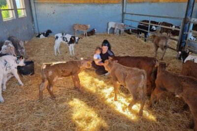 La Comunitat Valenciana convoca 9,8 M€ en ayudas para el establecimiento de jóvenes y nuevos agricultores