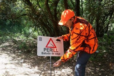 Hasta 70 € por jabalí capturado: así refuerza Cataluña la lucha contra la PPA