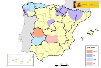 La lengua azul llega a Castilla-La Mancha con un nuevo foco en Ciudad Real