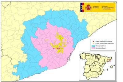 Ya son 391 los jabalíes positivos por PPA en Cataluña
