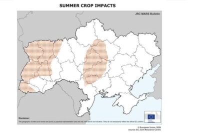 Ucrania: rendimientos de maíz y girasol por encima de la media