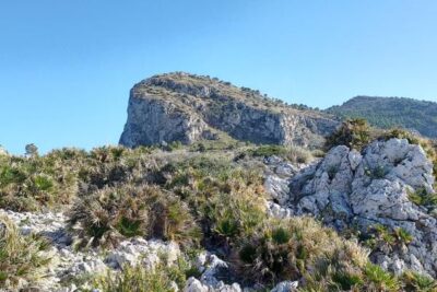 Castilla y León estrena hoja de ruta para sus montes